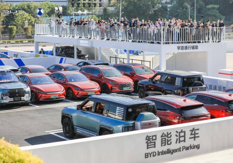 从全球第三大车企滑落到第五，比亚迪到底怎么了？