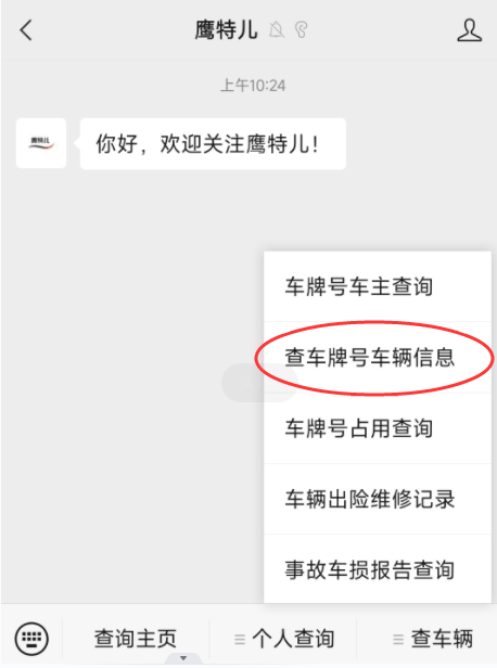 怎么查询车辆信息?