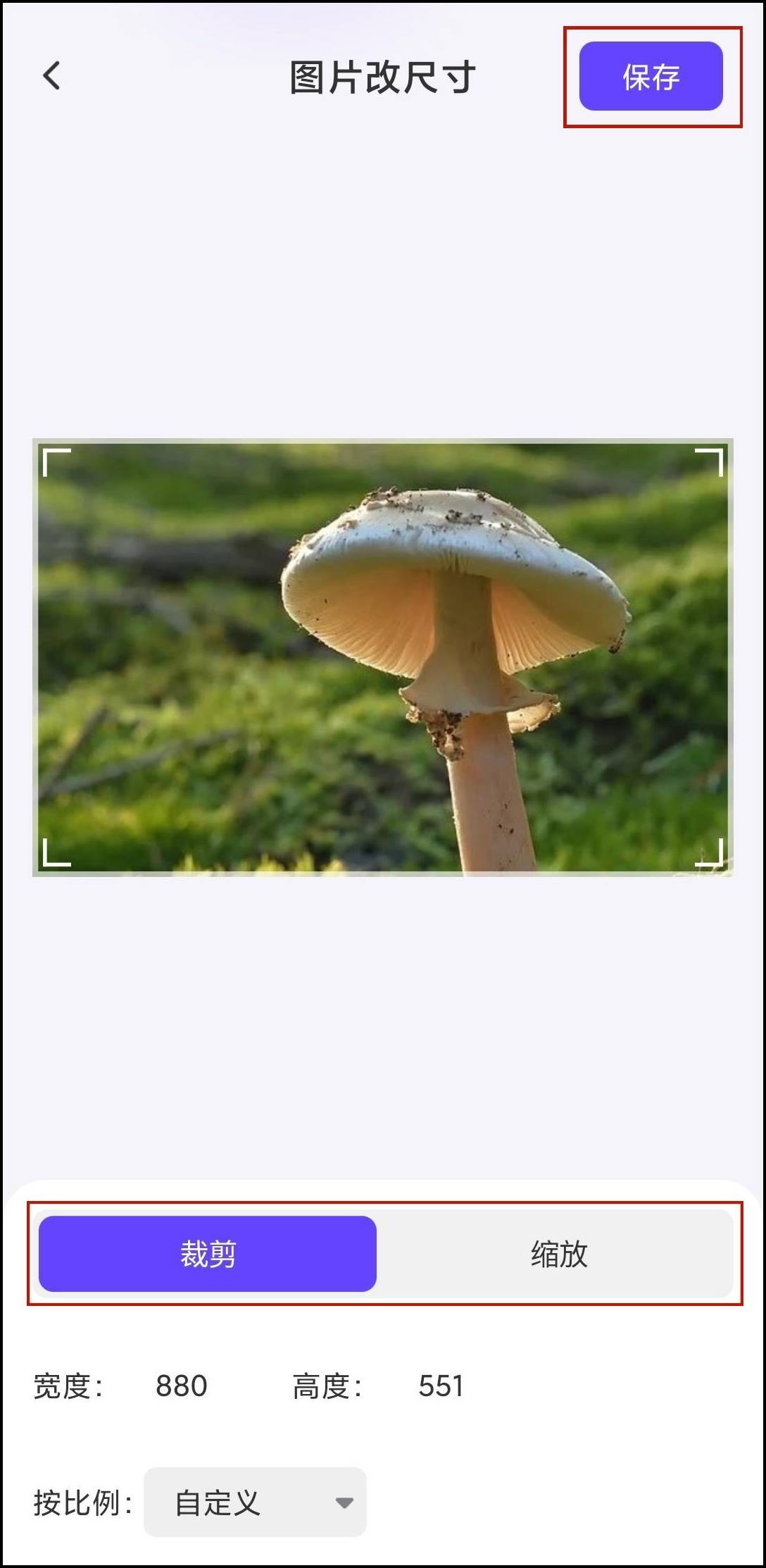 电子驾驶证照片尺寸怎么修改?这里有具体操作