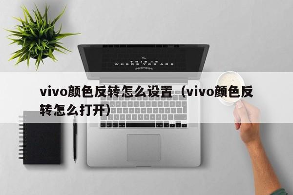 vivo颜色反转怎么设置(vivo颜色反转怎么打开)