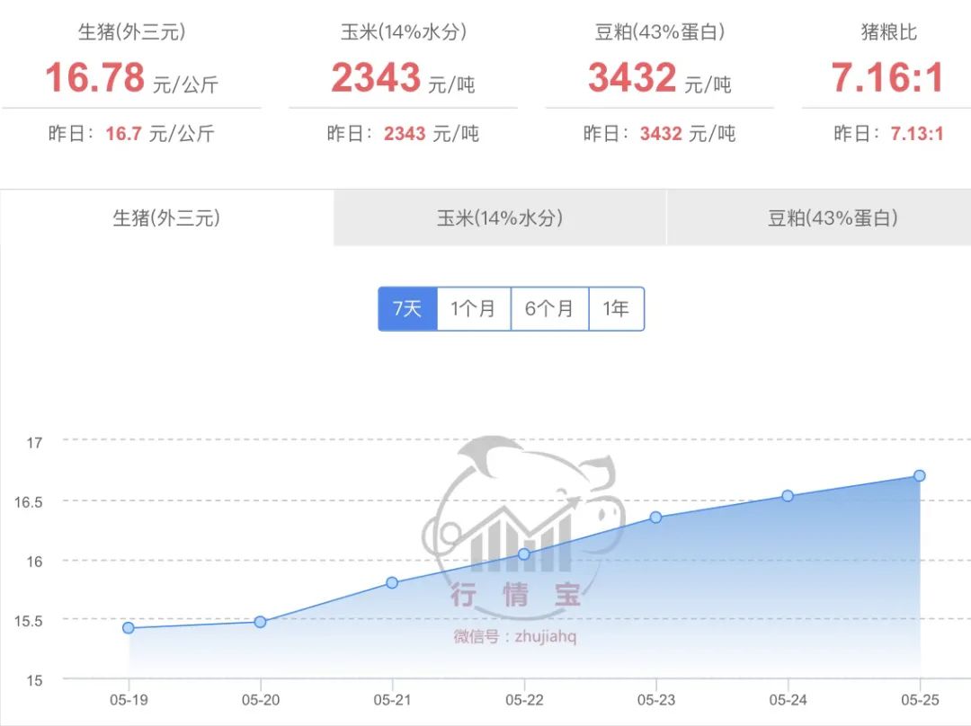2024年5月26日国内生猪价格一览
