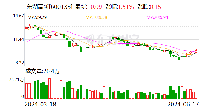 东湖高新:6月17日召开董事会会议