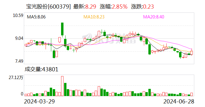 宝光股份:聘任彭大鹏担任公司副总经理