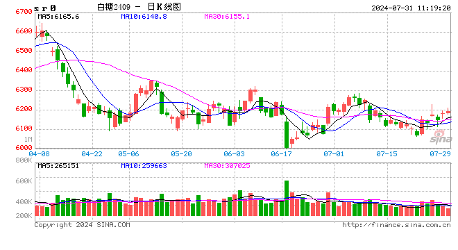 光大期货：7月31日软商品日报