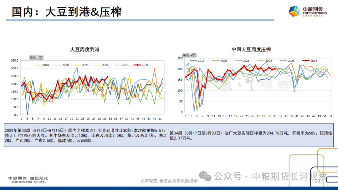 【长河报告】大豆、豆粕周度数据20240823:作物巡查结果偏好,美豆出口略有升温