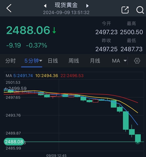 黄金突发大行情！金价短线跳水失守2490美元