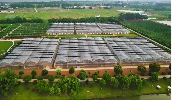 上膳源携手微盟数字化升级,引领生鲜便利消费新体验