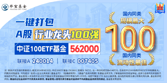 “宁王”天量暴涨18.7%!新经济龙头股再掀涨停潮,中证100ETF基金(562000)喜提“十连涨”,再创历史新高