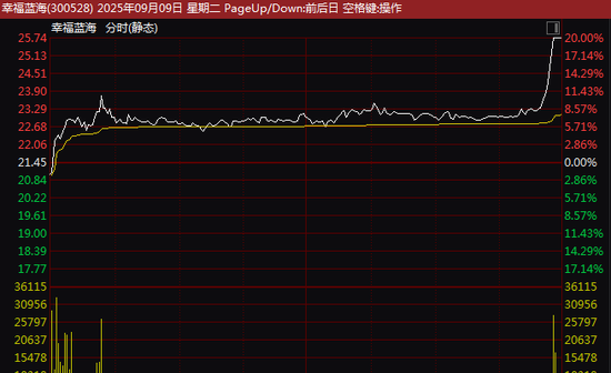 这一板块，尾盘猛拉！