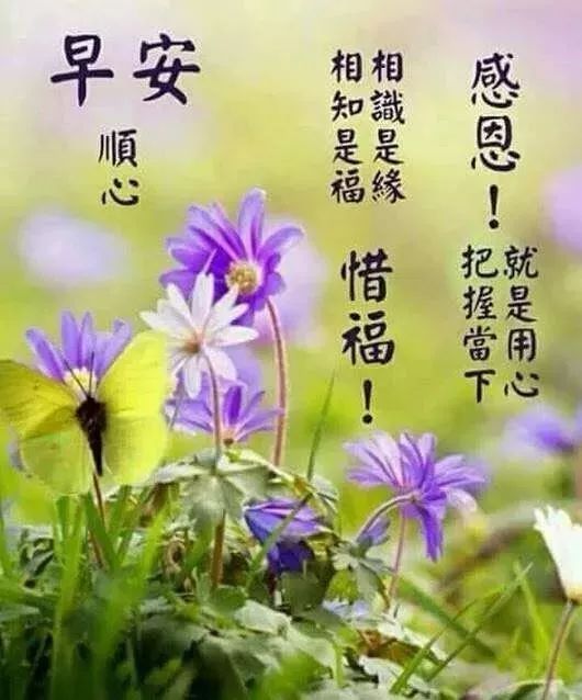 苹果早安问候怎么设置(苹果早安问候语怎么设置)