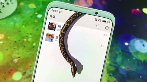 蛇怎么设置(怎样控制蛇) 蛇怎么设置(怎样控制蛇)