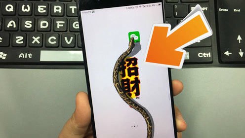 蛇怎么设置(怎样控制蛇) 蛇怎么设置(怎样控制蛇)