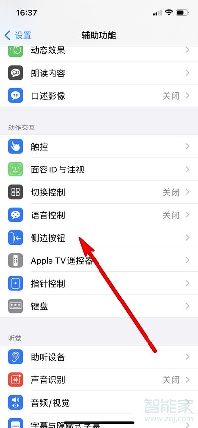 苹果怎么设置拍拍(苹果手机如何设置拍拍) 苹果怎么设置拍拍(苹果手机如何设置拍拍)