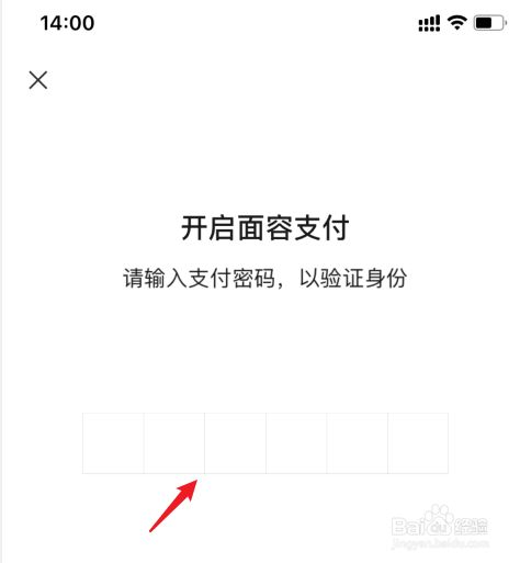 付款刷脸怎么设置(苹果15付款刷脸怎么设置) 付款刷脸怎么设置(苹果15付款刷脸怎么设置)