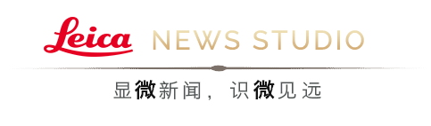 斐讯k3c路由器怎么设置(斐讯k3c路由器怎么设置密码) 斐讯k3c路由器怎么设置(斐讯k3c路由器怎么设置密码)