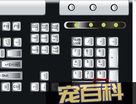 华硕怎么进bios设置(华硕怎么进bios设置启动项)