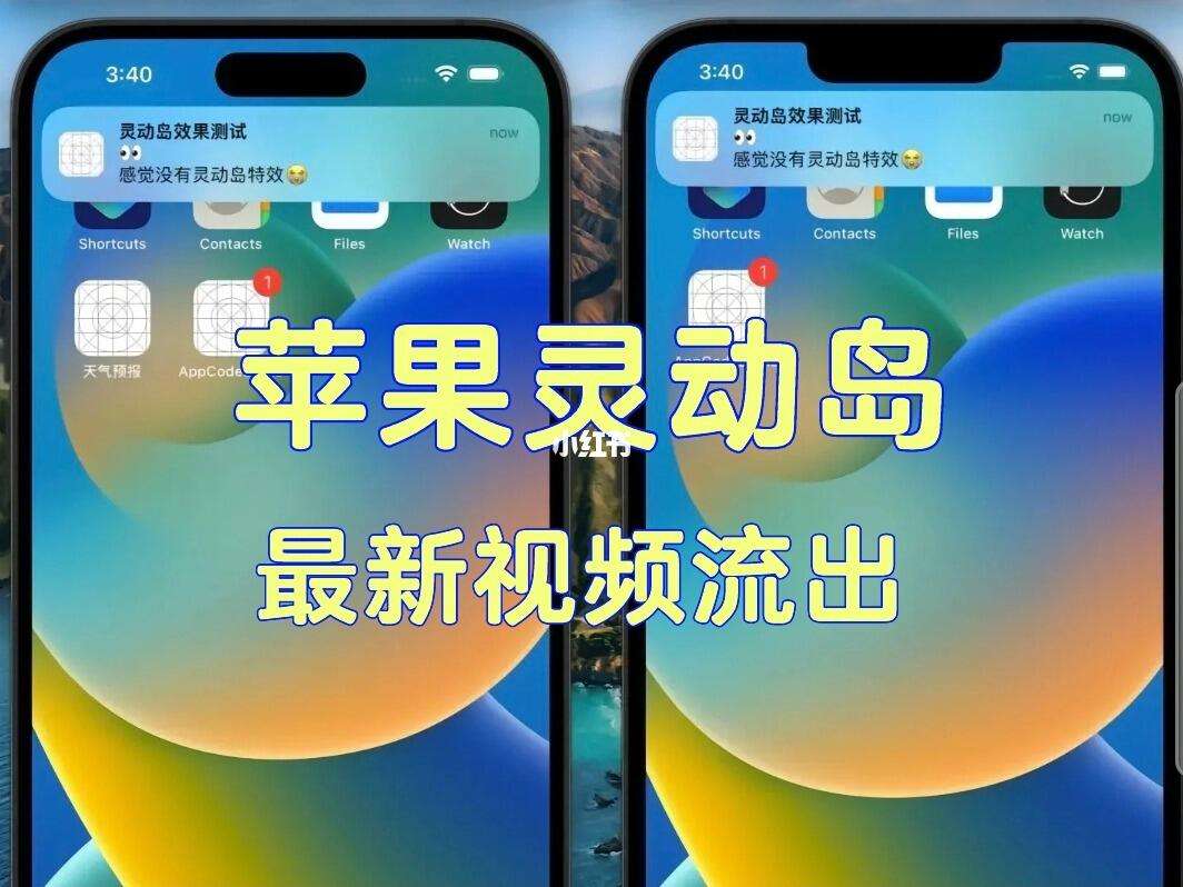快递怎么设置灵动岛(快递怎么设置灵动岛送货) 快递怎么设置灵动岛(快递怎么设置灵动岛送货)