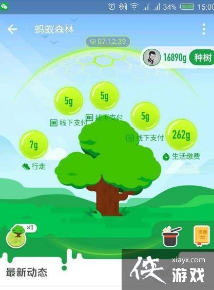 蚂蚁森林怎么设置(蚂蚁森林怎么设置步数产生能量) 蚂蚁森林怎么设置(蚂蚁森林怎么设置步数产生能量)