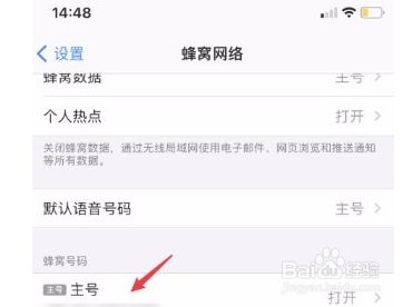 苹果手机怎么设置允许使用网络的简单介绍