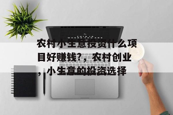 农村小生意投资什么项目好赚钱?，农村创业，小生意的投资选择