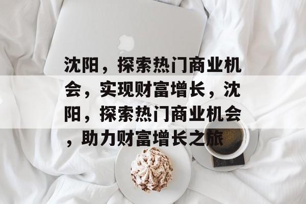 沈阳，探索热门商业机会，实现财富增长，沈阳，探索热门商业机会，助力财富增长之旅