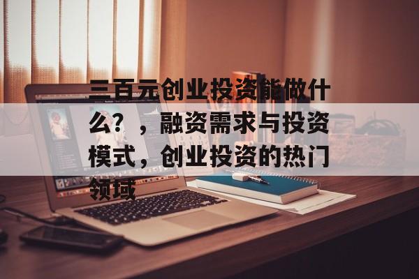 三百元创业投资能做什么？，融资需求与投资模式，创业投资的热门领域