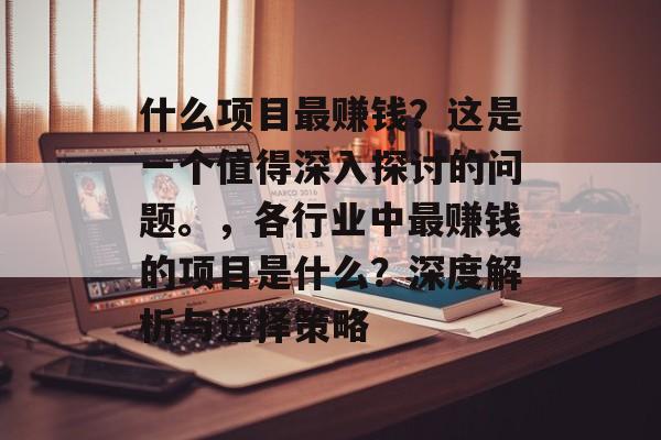 什么项目最赚钱？这是一个值得深入探讨的问题。，各行业中最赚钱的项目是什么？深度解析与选择策略