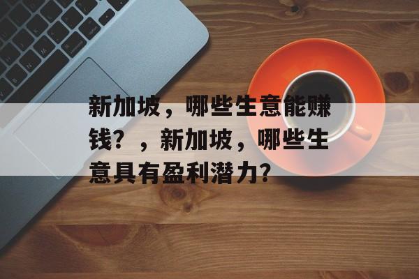 新加坡，哪些生意能赚钱？，新加坡，哪些生意具有盈利潜力？