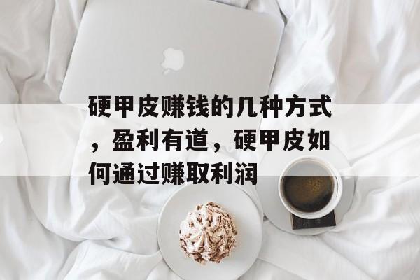 硬甲皮赚钱的几种方式,盈利有道,硬甲皮如何通过赚取利润 硬甲皮赚钱的几种方式,盈利有道,硬甲皮如何通过赚取利润