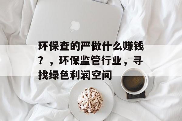 环保查的严做什么赚钱?,环保监管行业,寻找绿色利润空间 环保查的严做什么赚钱?,环保监管行业,寻找绿色利润空间