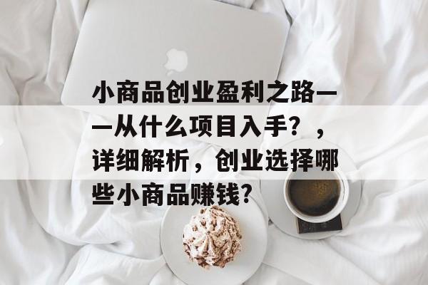 小商品创业盈利之路——从什么项目入手？，详细解析，创业选择哪些小商品赚钱?