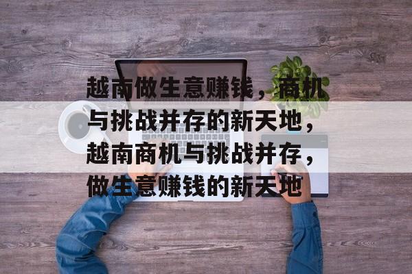 越南做生意赚钱，商机与挑战并存的新天地，越南商机与挑战并存，做生意赚钱的新天地