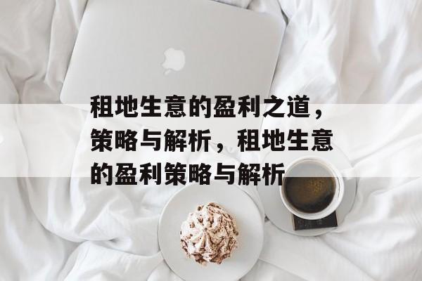 租地生意的盈利之道,策略与解析,租地生意的盈利策略与解析 租地生意的盈利之道,策略与解析,租地生意的盈利策略与解析