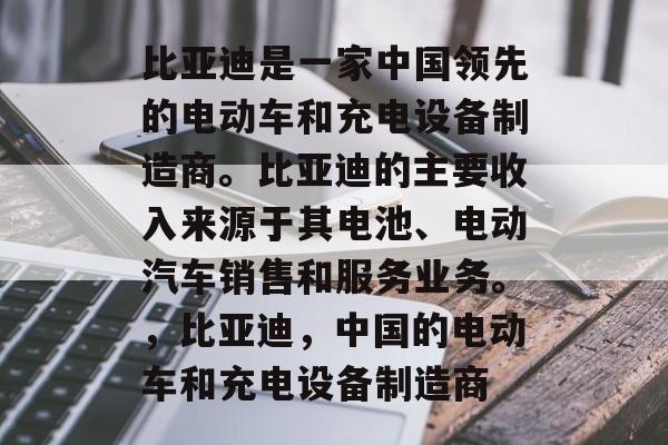 比亚迪是一家中国领先的电动车和充电设备制造商。比亚迪的主要收入来源于其电池、电动汽车销售和服务业务。，比亚迪，中国的电动车和充电设备制造商