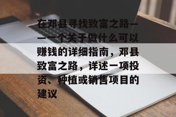 在邓县寻找致富之路——一个关于做什么可以赚钱的详细指南,邓县致富之路,详述一项投资、种植或销售项目的建议 在邓县寻找致富之路——一个关于做什么可以赚钱的详细指南,邓县致富之路,详述一项投资、种植或销售项目的建议