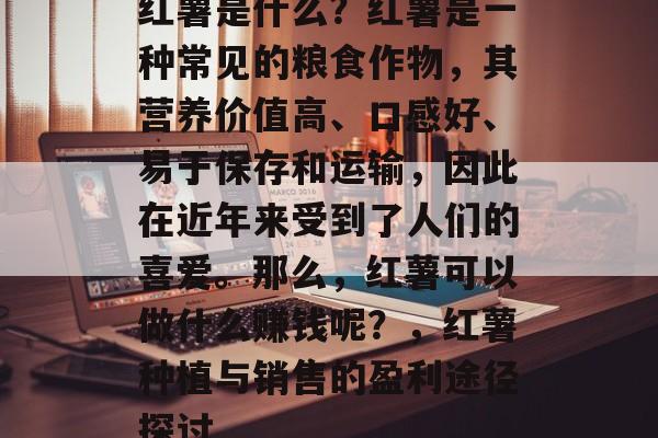 红薯是什么？红薯是一种常见的粮食作物，其营养价值高、口感好、易于保存和运输，因此在近年来受到了人们的喜爱。那么，红薯可以做什么赚钱呢？，红薯种植与销售的盈利途径探讨