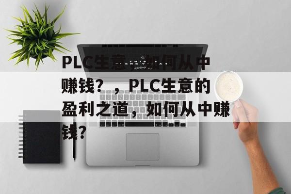 PLC生意，如何从中赚钱？，PLC生意的盈利之道，如何从中赚钱？