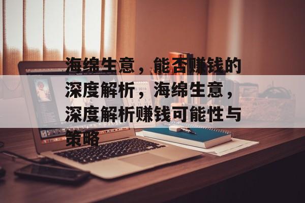海绵生意，能否赚钱的深度解析，海绵生意，深度解析赚钱可能性与策略