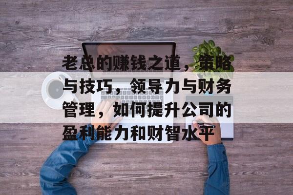 老总的赚钱之道,策略与技巧,领导力与财务管理,如何提升公司的盈利能力和财智水平 老总的赚钱之道,策略与技巧,领导力与财务管理,如何提升公司的盈利能力和财智水平