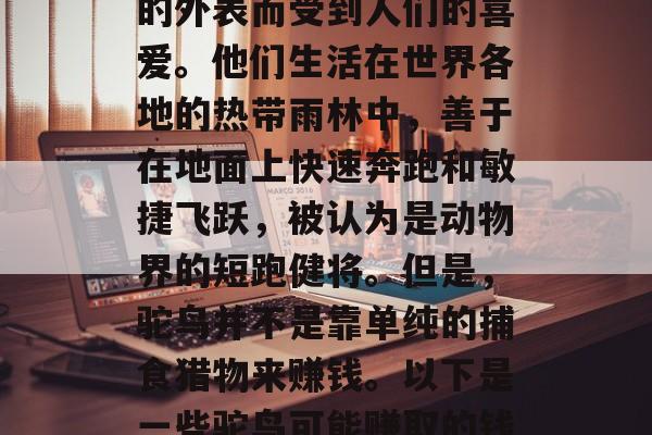 驼鸟是一种鸟类,因其独特的生活习性和优雅的外表而受到人们的喜爱。他们生活在世界各地的热带雨林中,善于在地面上快速奔跑和敏捷飞跃,被认为是动物界的短跑健将。但是,驼鸟并不是靠单纯的捕食猎物来赚钱。以下是一些驼鸟可能赚取的钱。,驼鸟,如何通过他们的生活习性赚取财富 驼鸟是一种鸟类,因其独特的生活习性和优雅的外表而受到人们的喜爱。他们生活在世界各地的热带雨林中,善于在地面上快速奔跑和敏捷飞跃,被认为是动物界的短跑健将。但是,驼鸟并不是靠单纯的捕食猎物来赚钱。以下是一些驼鸟可能赚取的钱。,驼鸟,如何通过他们的生活习性赚取财富