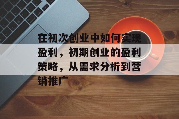 在初次创业中如何实现盈利，初期创业的盈利策略，从需求分析到营销推广