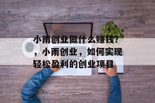 小雨创业做什么赚钱？，小雨创业，如何实现轻松盈利的创业项目