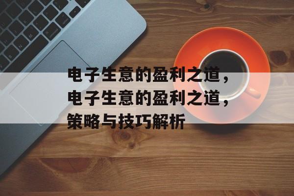 电子生意的盈利之道，电子生意的盈利之道，策略与技巧解析