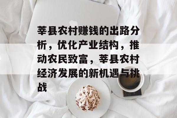 莘县农村赚钱的出路分析，优化产业结构，推动农民致富，莘县农村经济发展的新机遇与挑战