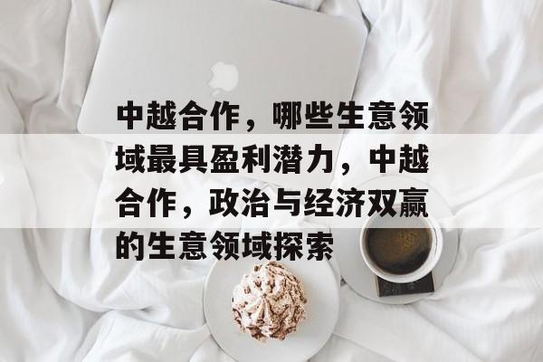 中越合作，哪些生意领域最具盈利潜力，中越合作，政治与经济双赢的生意领域探索
