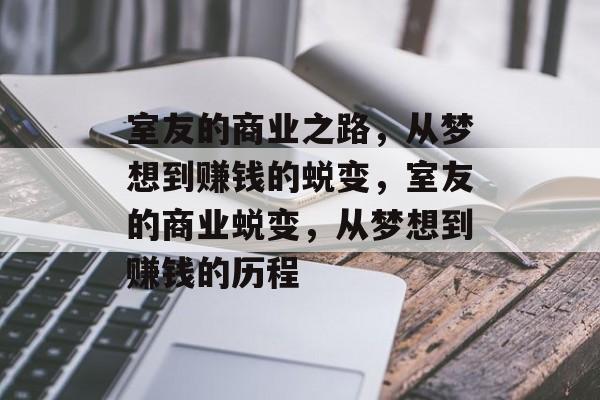 室友的商业之路，从梦想到赚钱的蜕变，室友的商业蜕变，从梦想到赚钱的历程