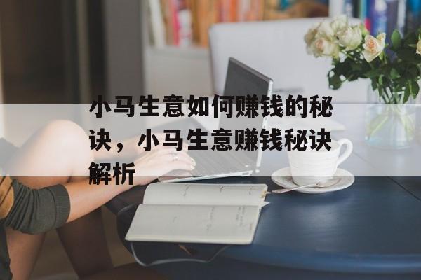 小马生意如何赚钱的秘诀,小马生意赚钱秘诀解析 小马生意如何赚钱的秘诀,小马生意赚钱秘诀解析