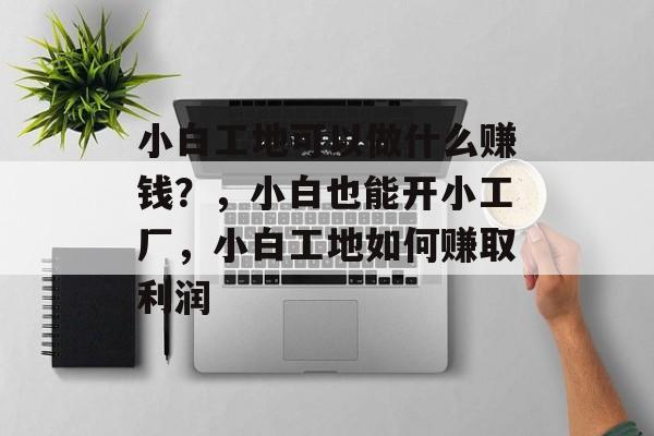 小白工地可以做什么赚钱?,小白也能开小工厂,小白工地如何赚取利润 小白工地可以做什么赚钱?,小白也能开小工厂,小白工地如何赚取利润