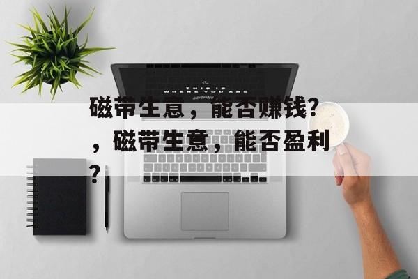 磁带生意,能否赚钱?,磁带生意,能否盈利? 磁带生意,能否赚钱?,磁带生意,能否盈利?
