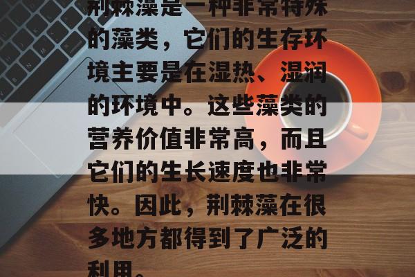 荆棘藻是一种非常特殊的藻类,它们的生存环境主要是在湿热、湿润的环境中。这些藻类的营养价值非常高,而且它们的生长速度也非常快。因此,荆棘藻在很多地方都得到了广泛的利用。 荆棘藻是一种非常特殊的藻类,它们的生存环境主要是在湿热、湿润的环境中。这些藻类的营养价值非常高,而且它们的生长速度也非常快。因此,荆棘藻在很多地方都得到了广泛的利用。